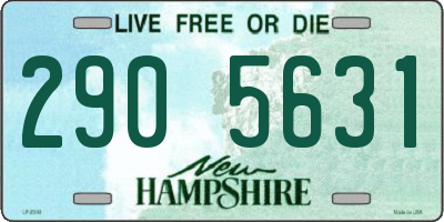 NH license plate 2905631