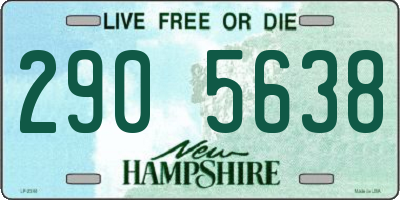 NH license plate 2905638