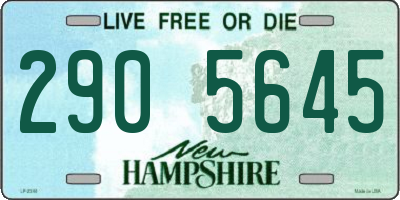 NH license plate 2905645