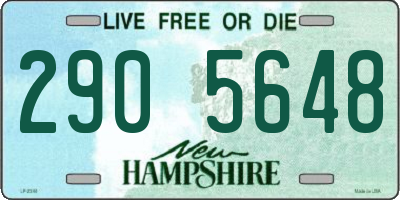 NH license plate 2905648