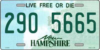 NH license plate 2905665