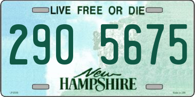 NH license plate 2905675