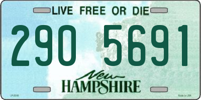 NH license plate 2905691