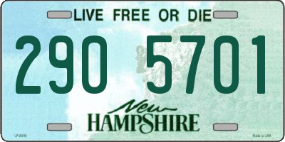 NH license plate 2905701
