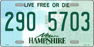 NH license plate 2905703