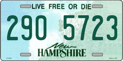 NH license plate 2905723