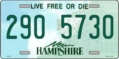 NH license plate 2905730