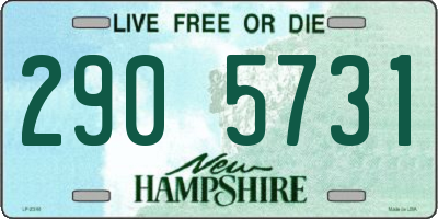 NH license plate 2905731