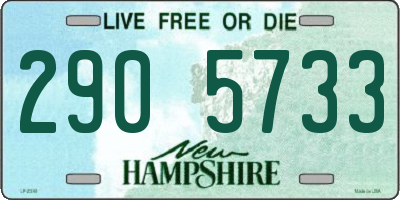 NH license plate 2905733
