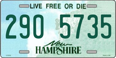 NH license plate 2905735