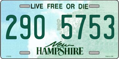 NH license plate 2905753