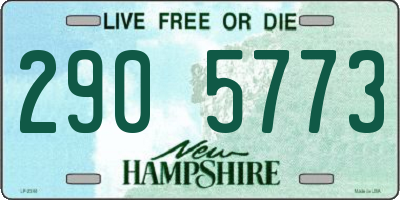 NH license plate 2905773