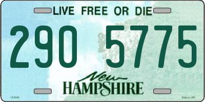 NH license plate 2905775