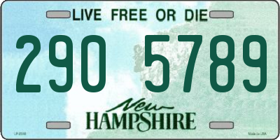 NH license plate 2905789