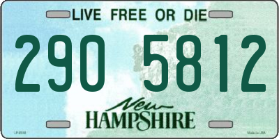 NH license plate 2905812