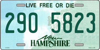NH license plate 2905823