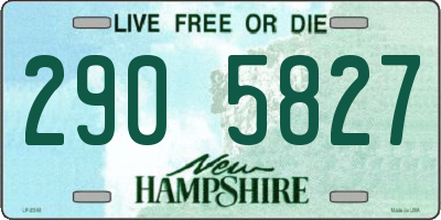NH license plate 2905827