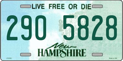 NH license plate 2905828