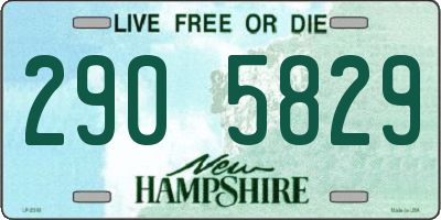 NH license plate 2905829