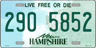 NH license plate 2905852