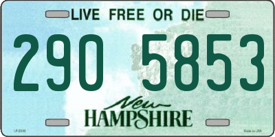 NH license plate 2905853