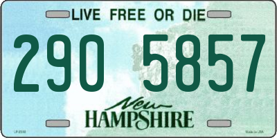 NH license plate 2905857