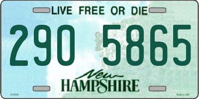 NH license plate 2905865