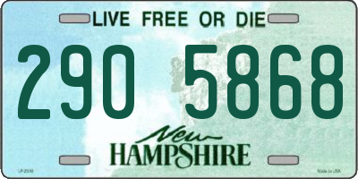NH license plate 2905868