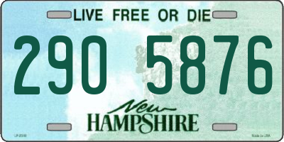 NH license plate 2905876