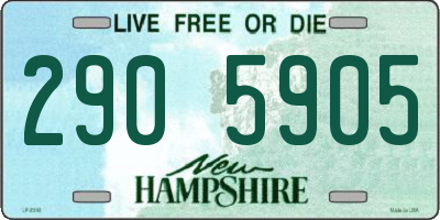 NH license plate 2905905