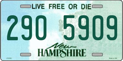 NH license plate 2905909