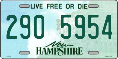 NH license plate 2905954