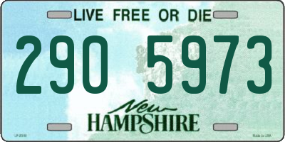 NH license plate 2905973