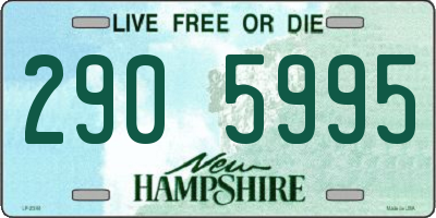 NH license plate 2905995
