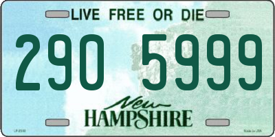 NH license plate 2905999