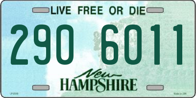 NH license plate 2906011
