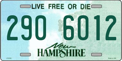 NH license plate 2906012
