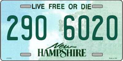 NH license plate 2906020