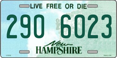 NH license plate 2906023