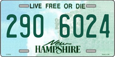 NH license plate 2906024
