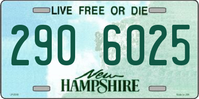 NH license plate 2906025