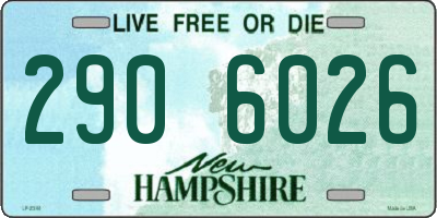 NH license plate 2906026