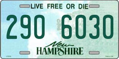 NH license plate 2906030