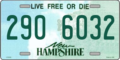 NH license plate 2906032