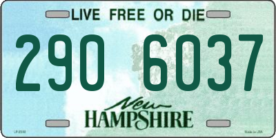 NH license plate 2906037