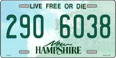 NH license plate 2906038