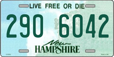 NH license plate 2906042