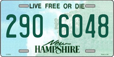 NH license plate 2906048