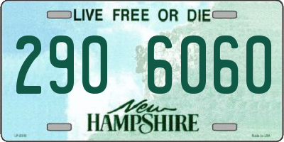 NH license plate 2906060