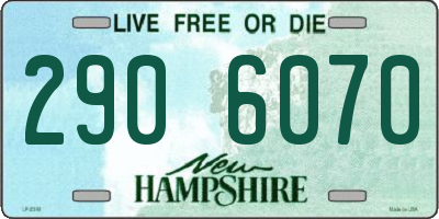 NH license plate 2906070